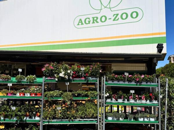 agro zoo due retail case study